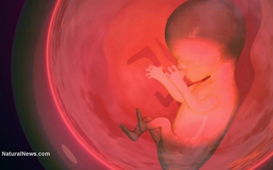 3d-Render-Embryo-Baby-Unborn